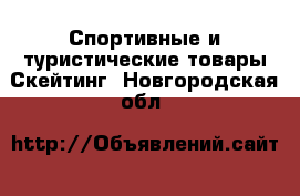 Спортивные и туристические товары Скейтинг. Новгородская обл.